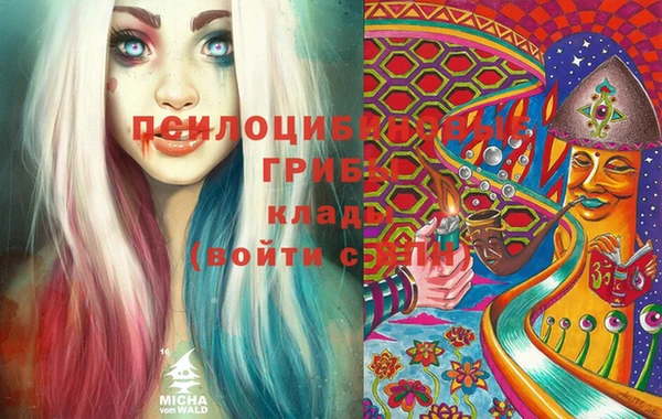jwh Богородицк
