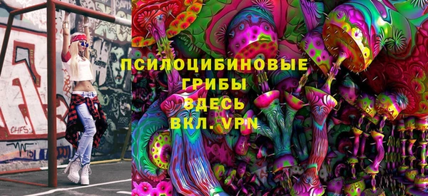 шишки Богданович