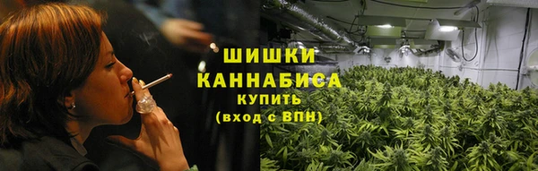 шишки Богданович